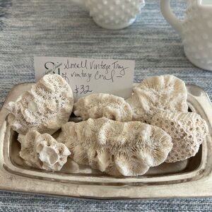 Vintage Coral Display on Small Vintage Silver Tray